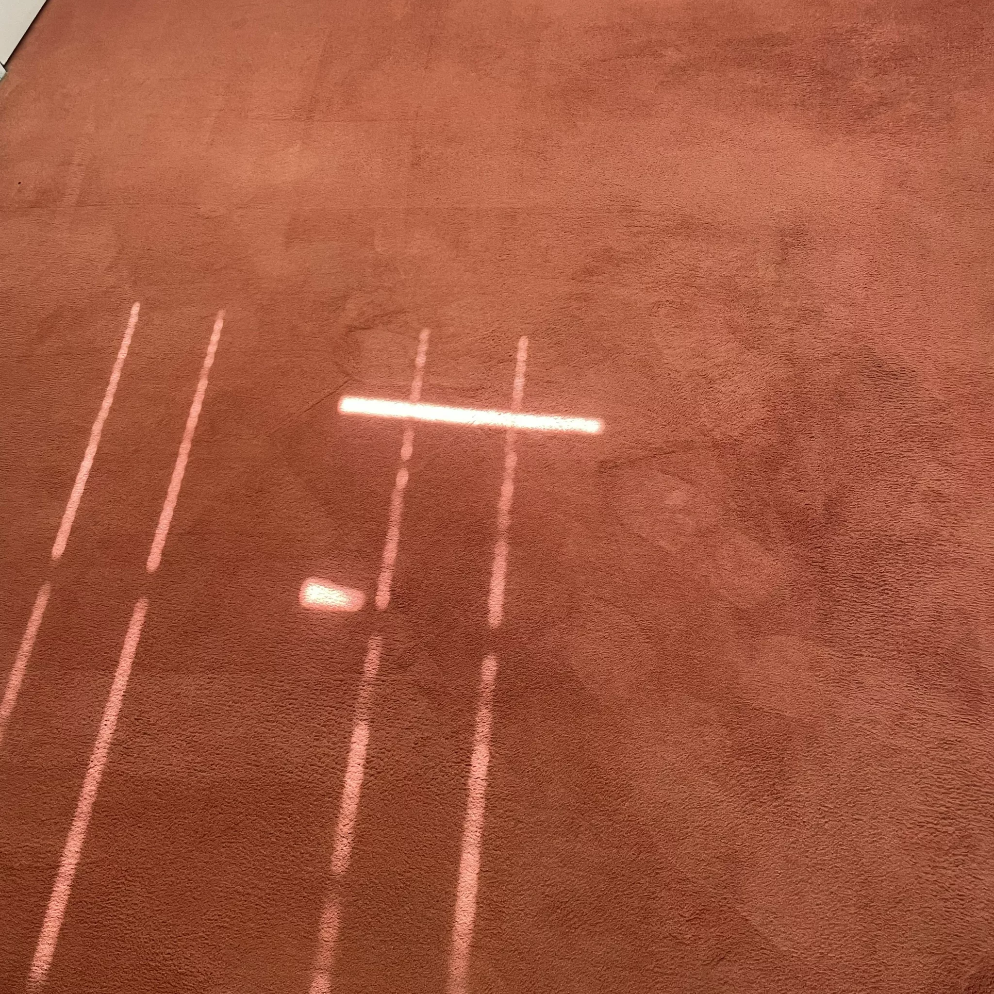 nettoyage de moquette après