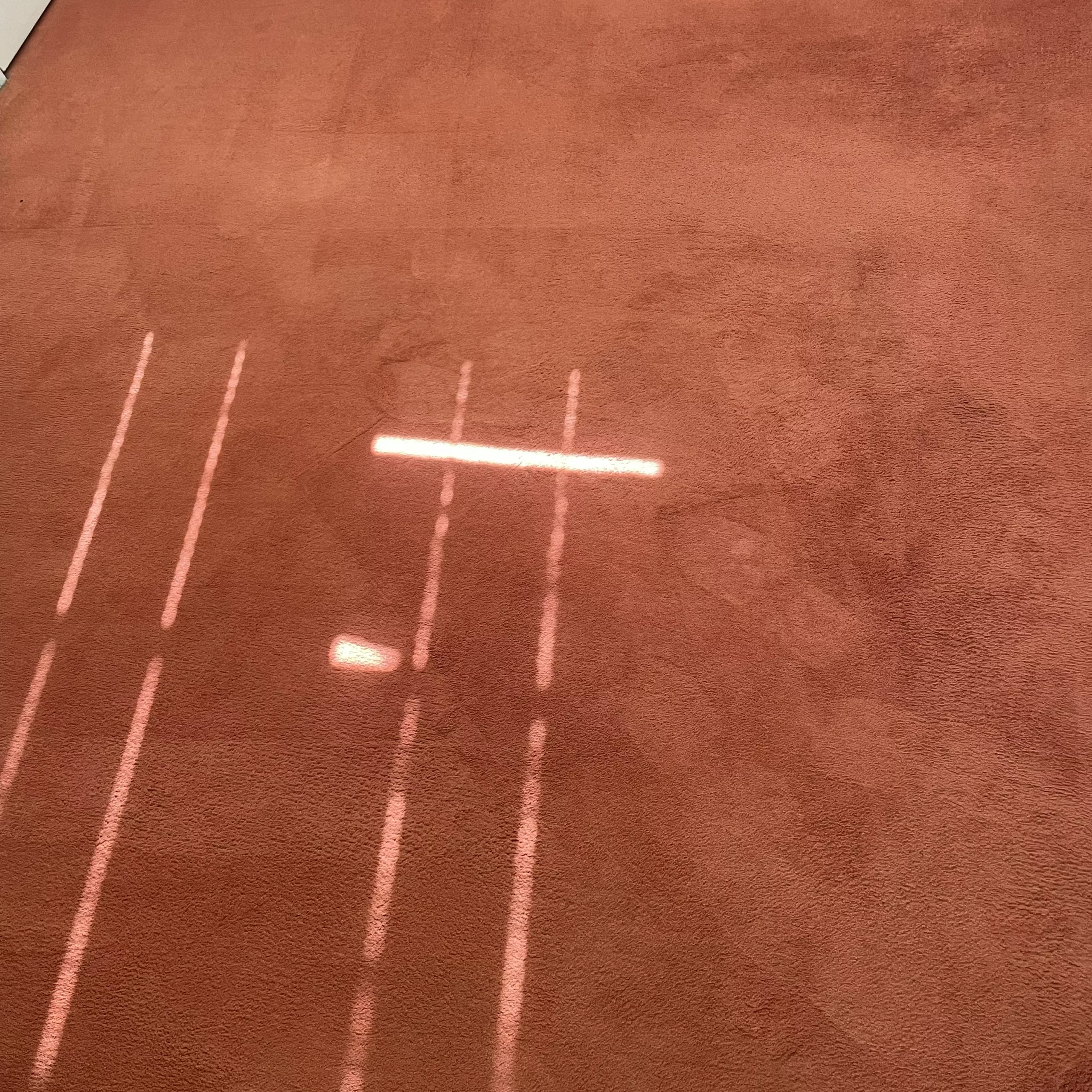 nettoyage de moquette après