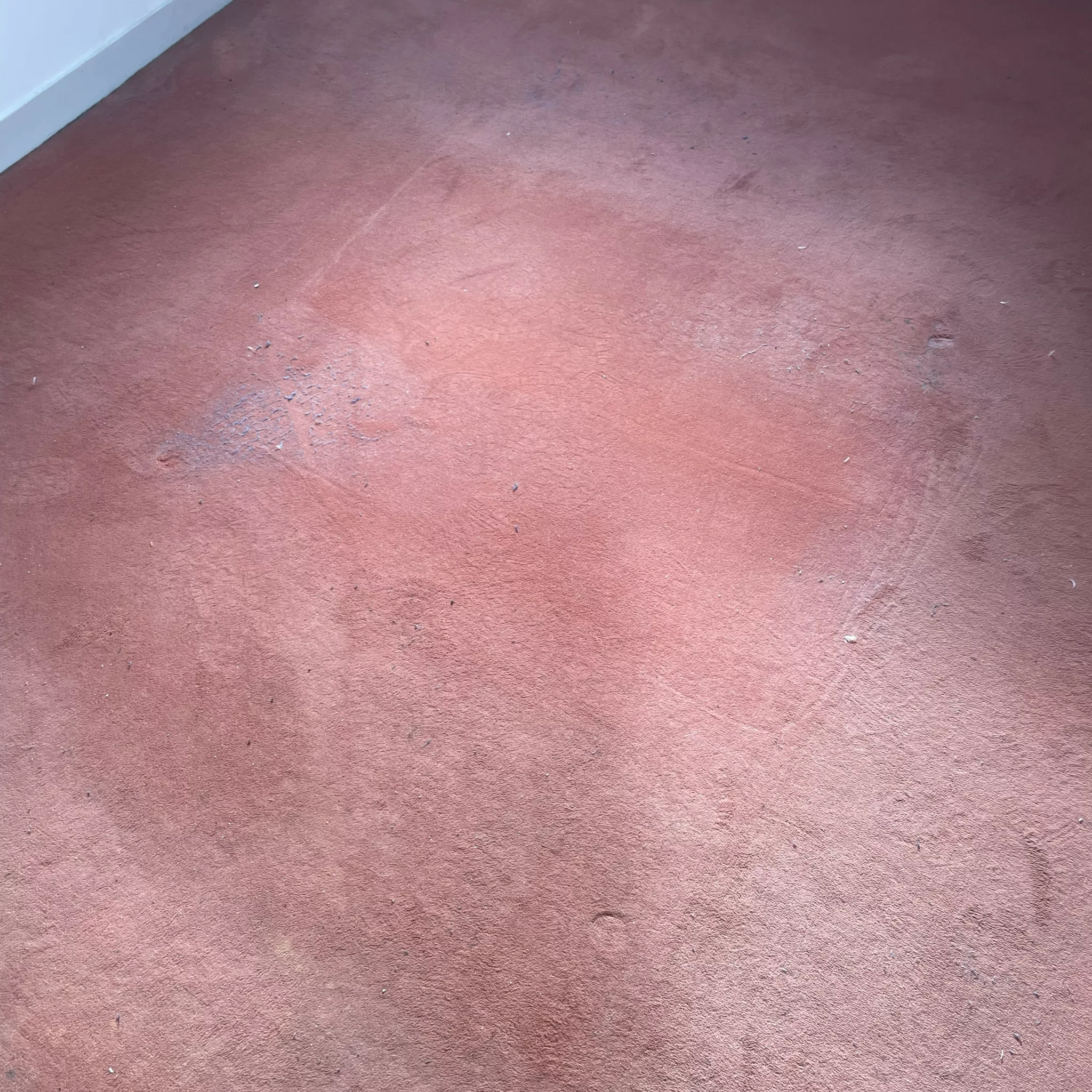 nettoyage de moquette avant